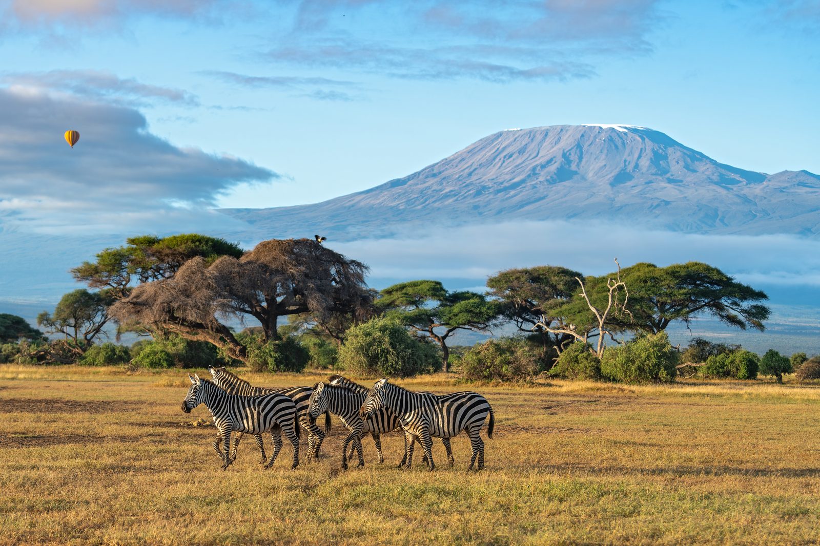 Kenia : Höhepunkte