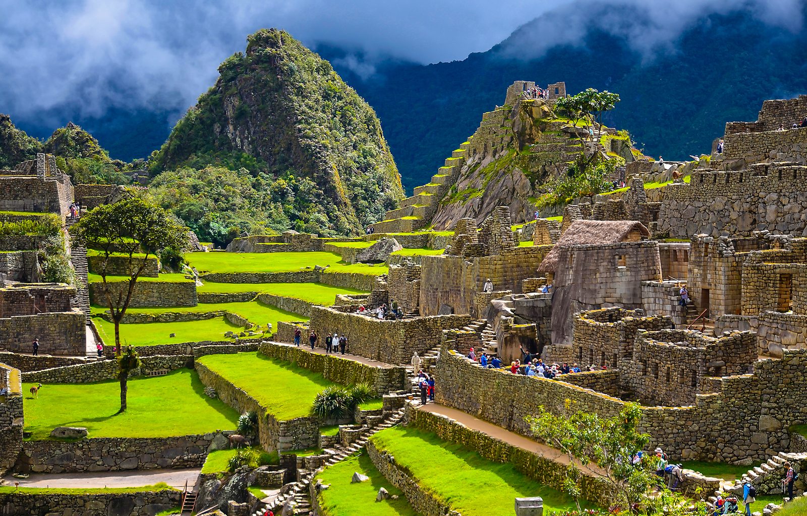 Peru: Deluxe