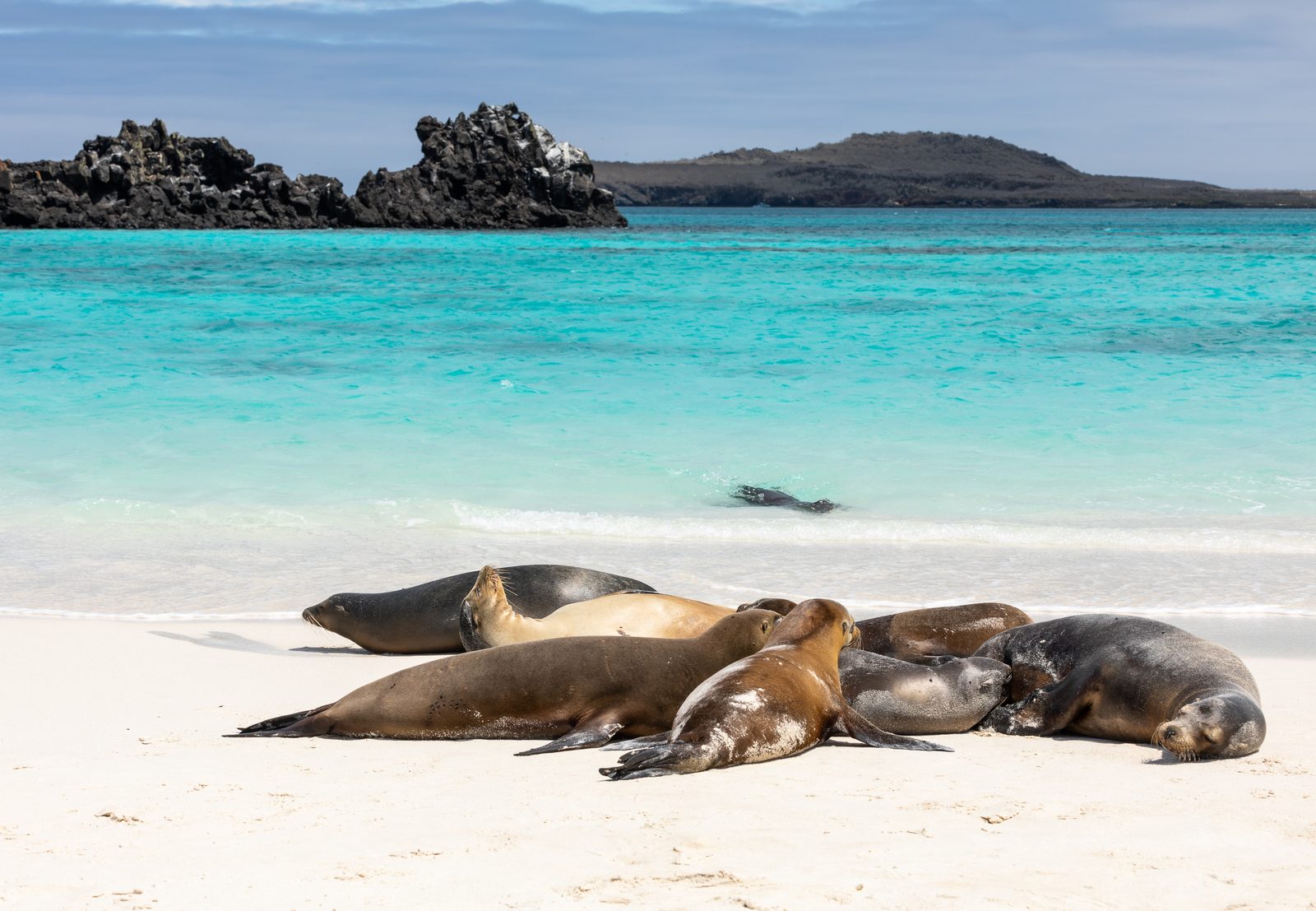 Peru & Ecuador: Höhepunkte mit Galápagosinseln