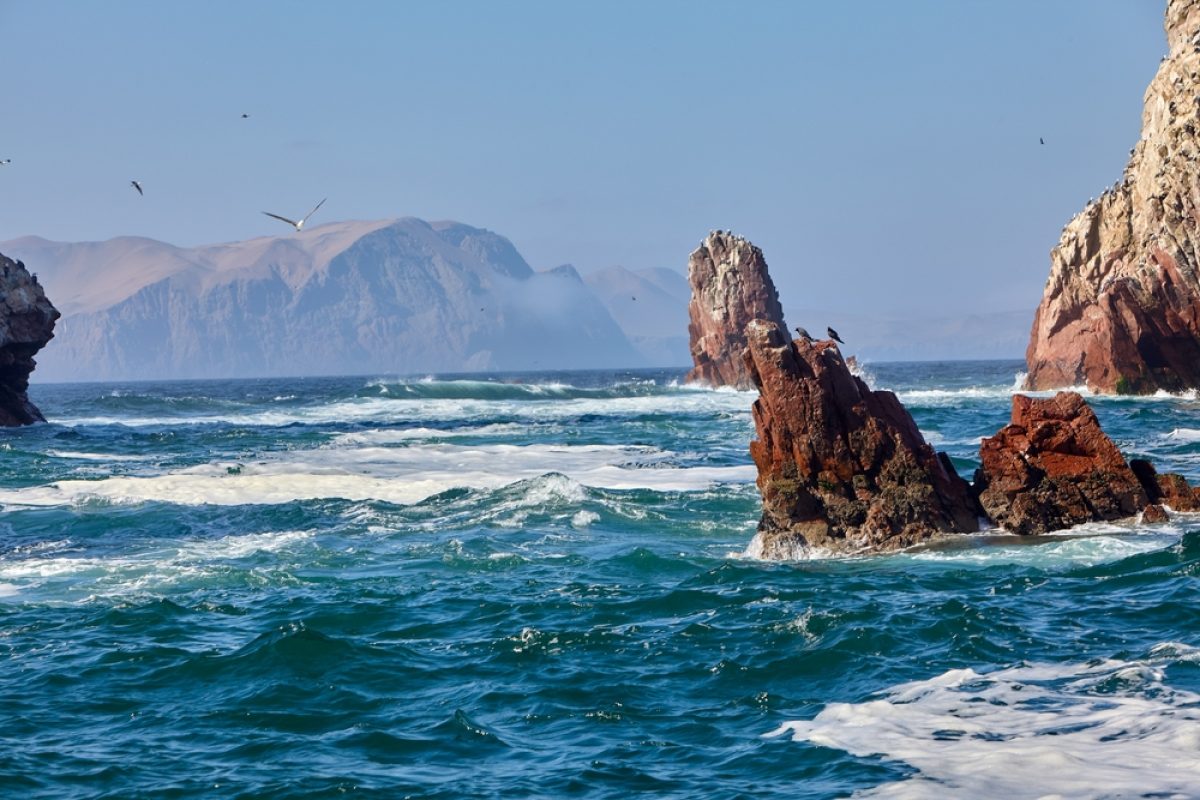 PER Ballestas Inseln
