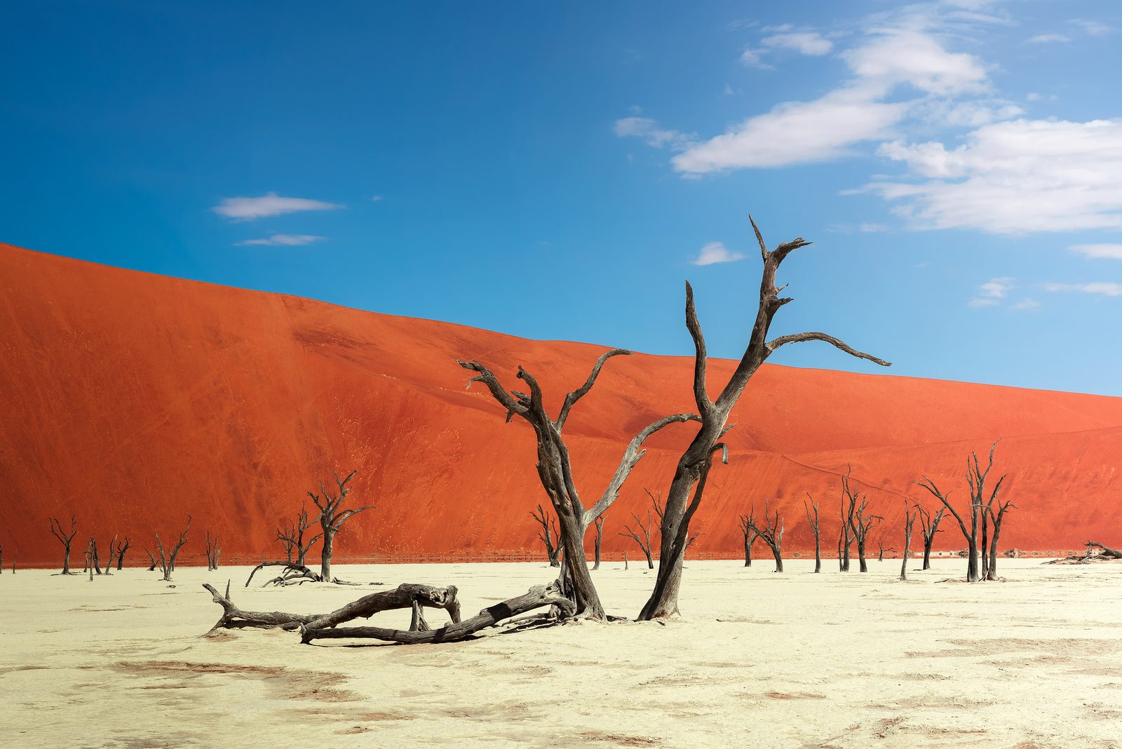 Südafrika & Namibia: Die ausführliche Reise von Windhoek bis Kapstadt