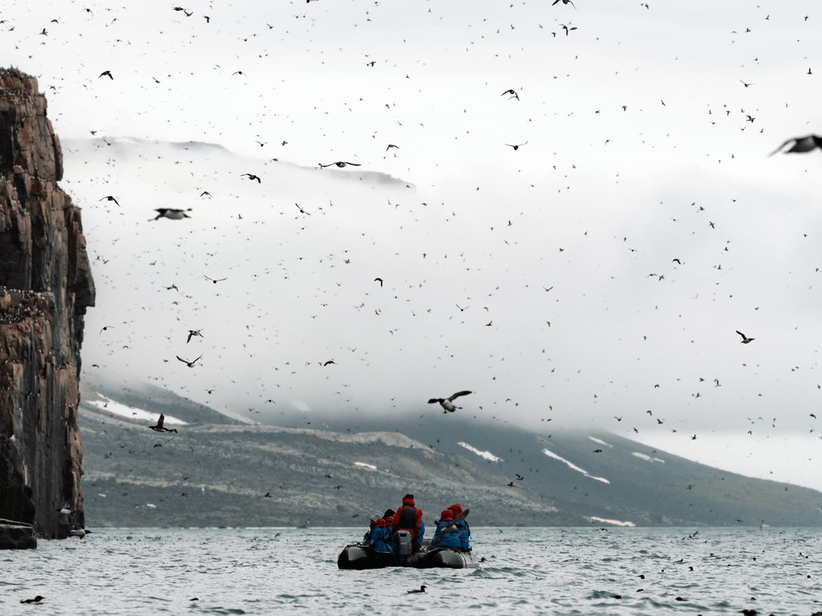Nordwestpassage: Grönland bis Alaska | MS GREG MORTIMER