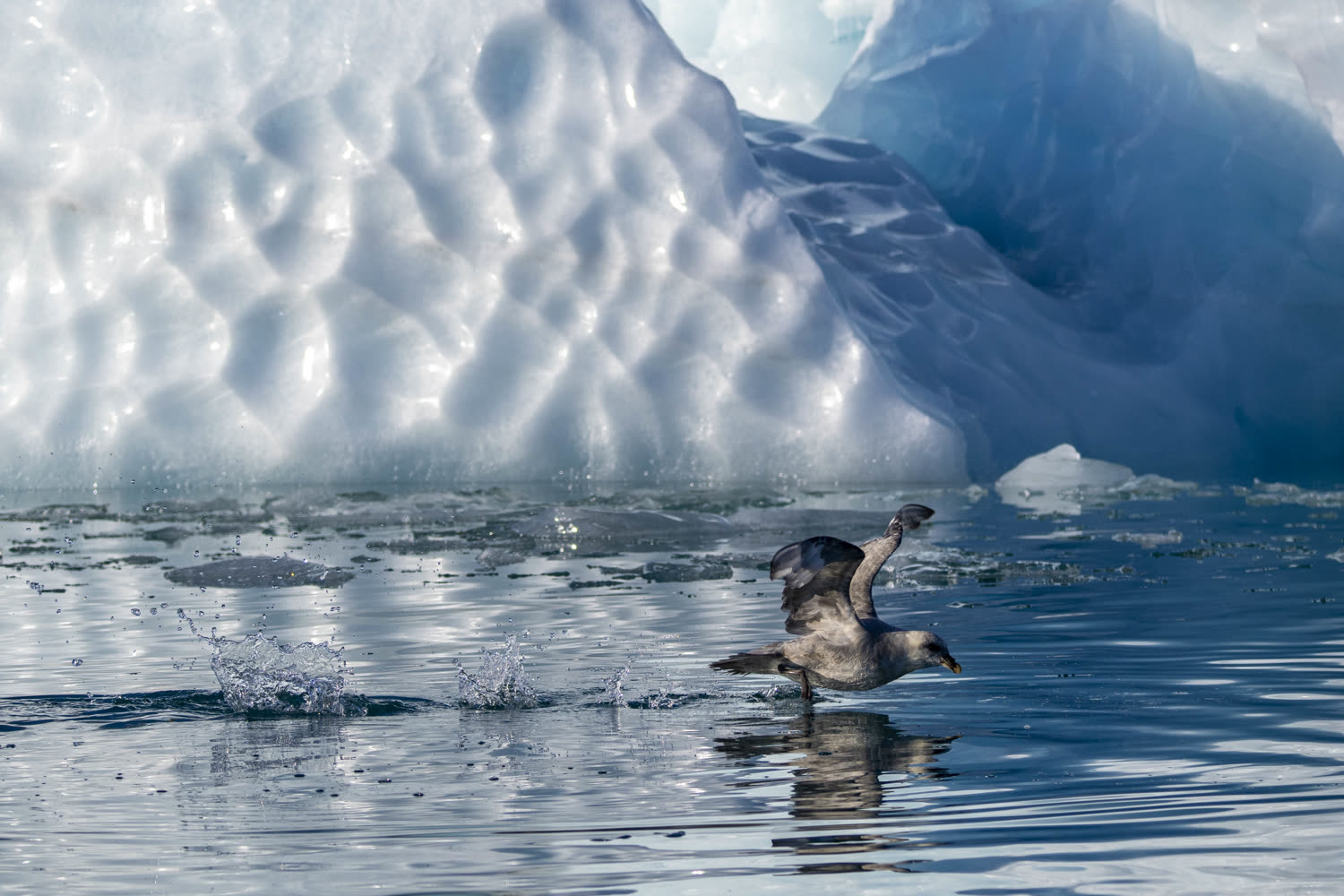 Reiseeindruck 3 — Foto: Aurora Expeditions