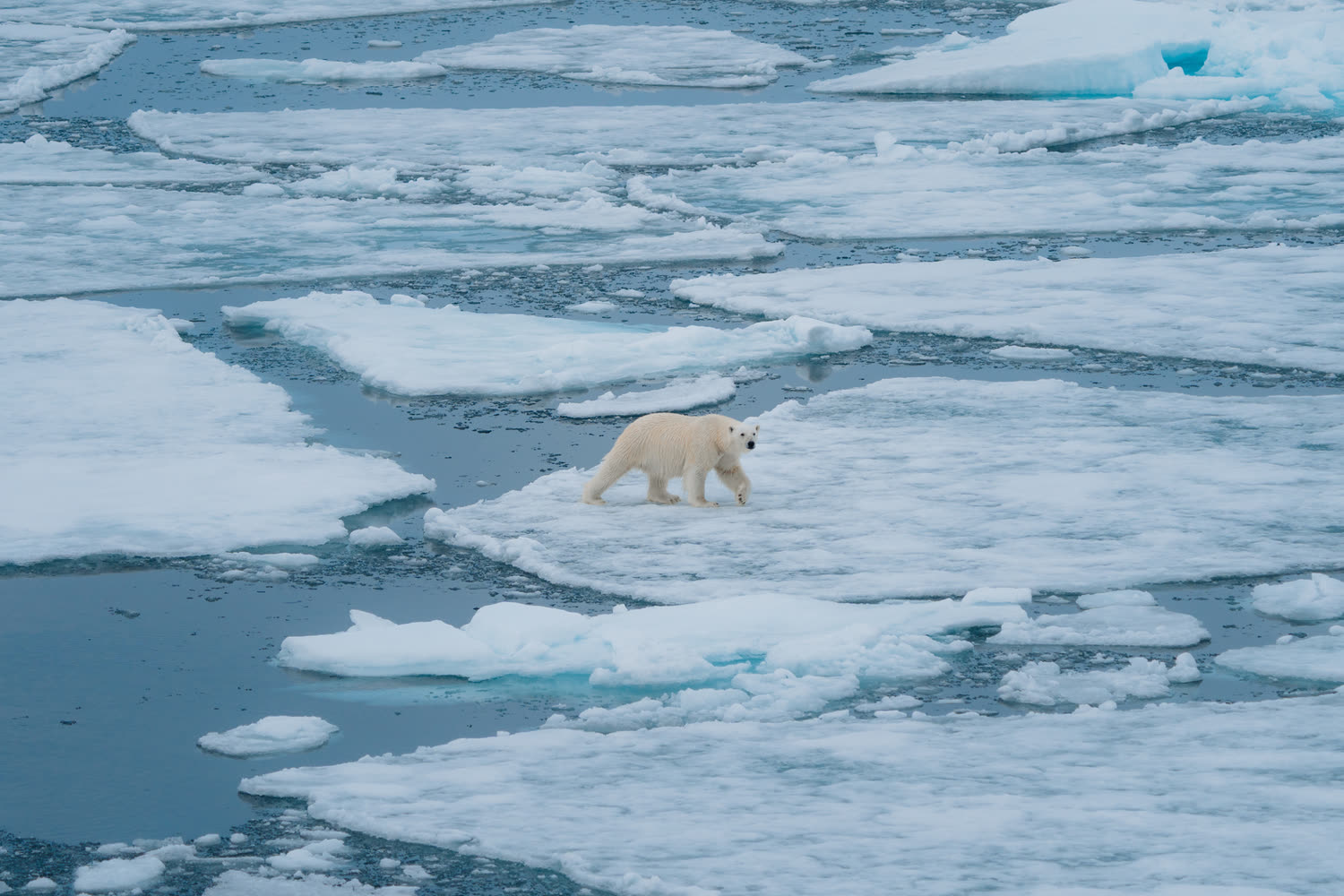 Reiseeindruck 5 — Foto: Aurora Expeditions