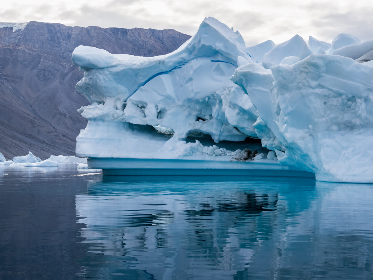 Arktischer Goldener Herbst & Nordlichter | MS SYLVIA EARLE