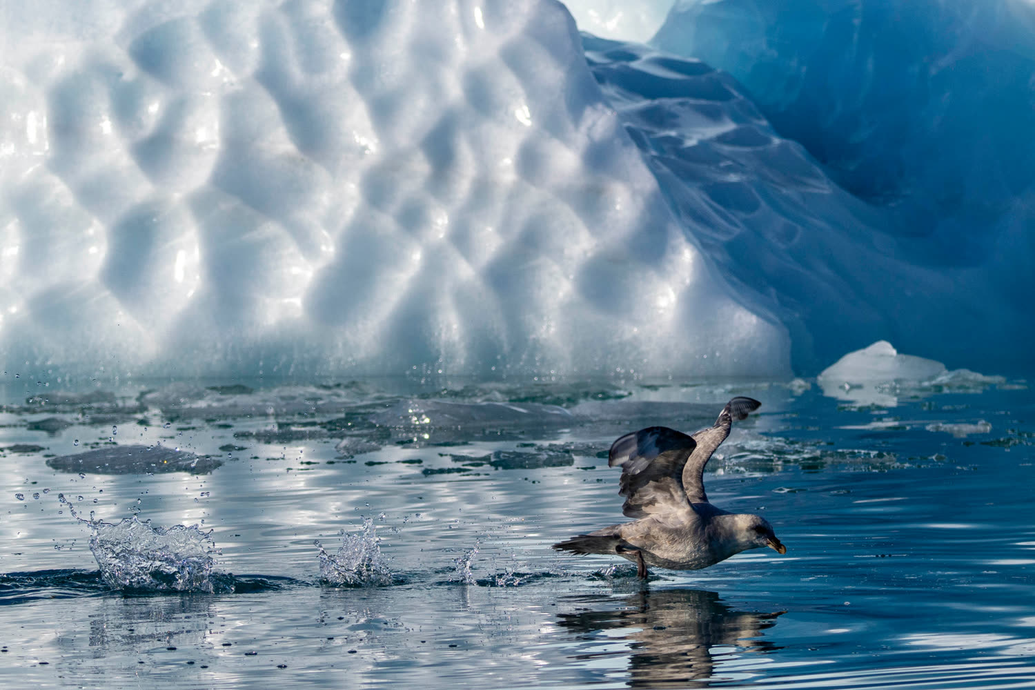 Reiseeindruck 6 — Foto: Aurora Expeditions