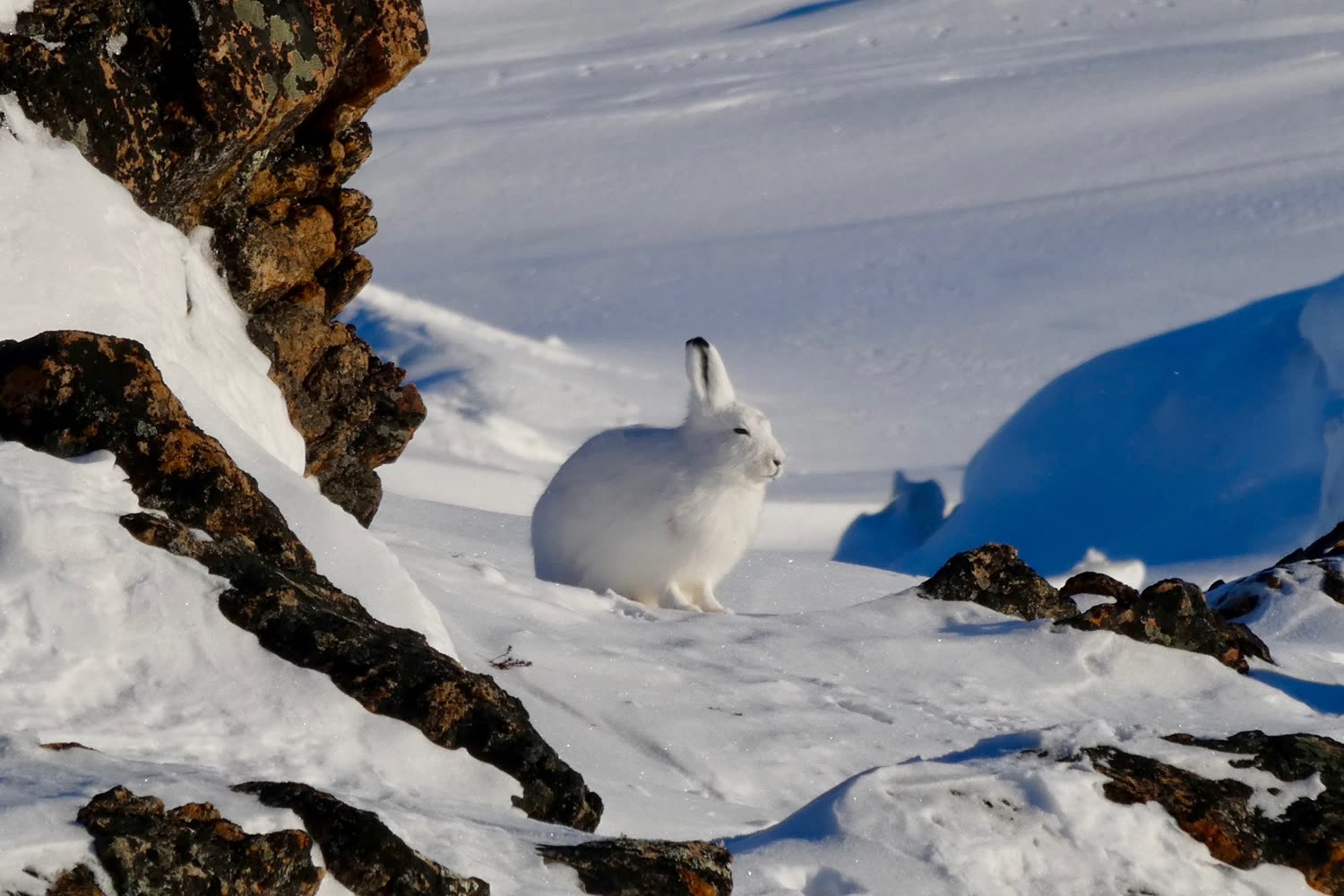 Reiseeindruck 5 — Foto: Aurora Expeditions