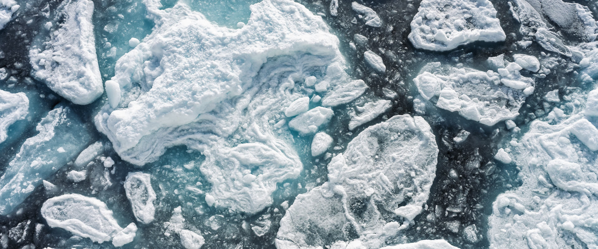 Die Nordwestpassage | MS SYLVIA EARLE