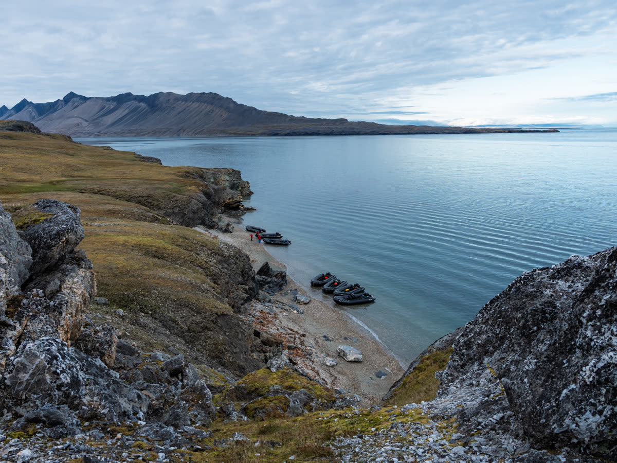 Nordwestpassage: Im Schein der Nordlichter | MS GREG MORTIMER