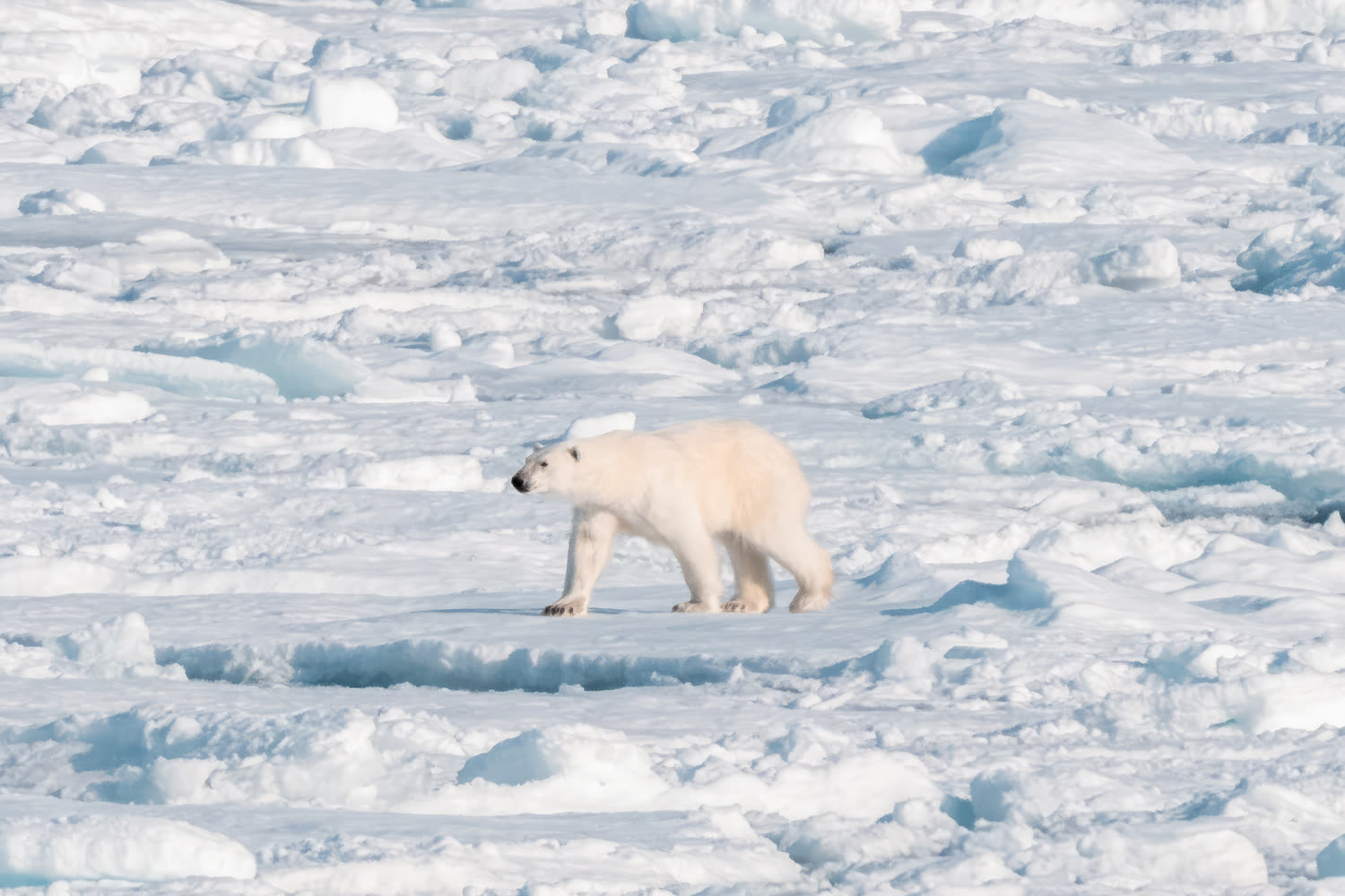 Reiseeindruck 4 — Foto: Aurora Expeditions