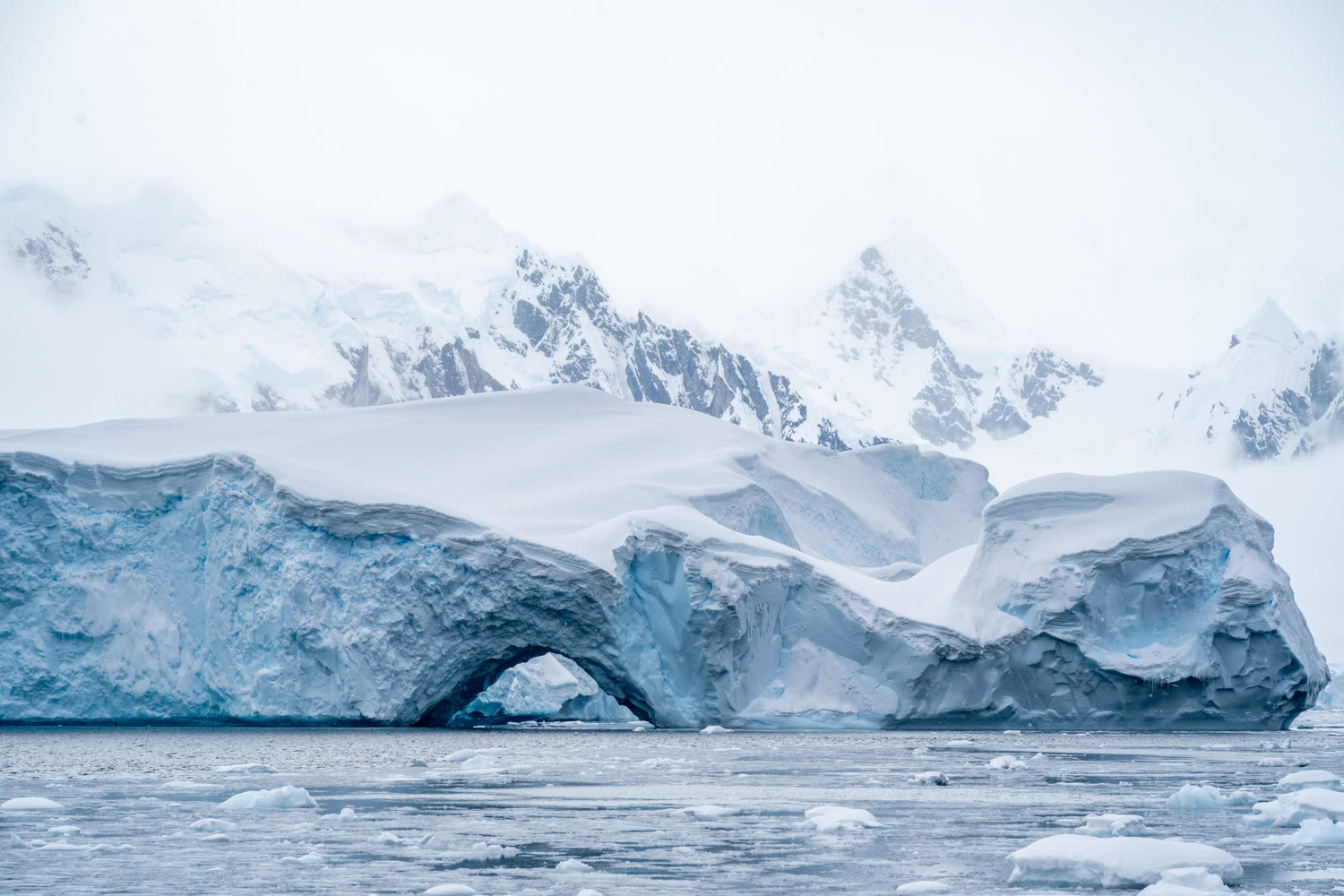 Reiseeindruck 2 — Foto: Aurora Expeditions