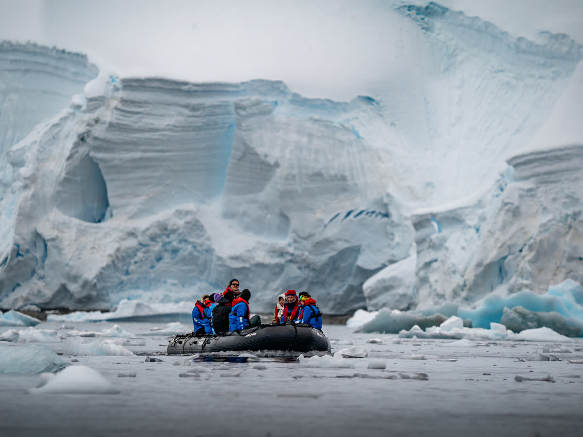 Antarktis durch die Linse: Foto-Expedition | MS SYLVIA EARLE