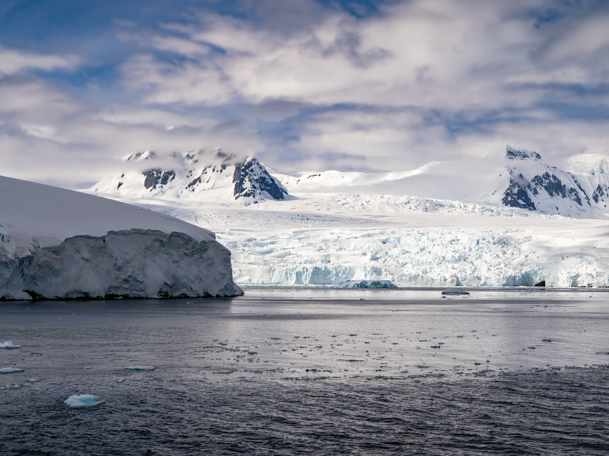 Jenseits des Südpolarkreises | MS SYLVIA EARLE