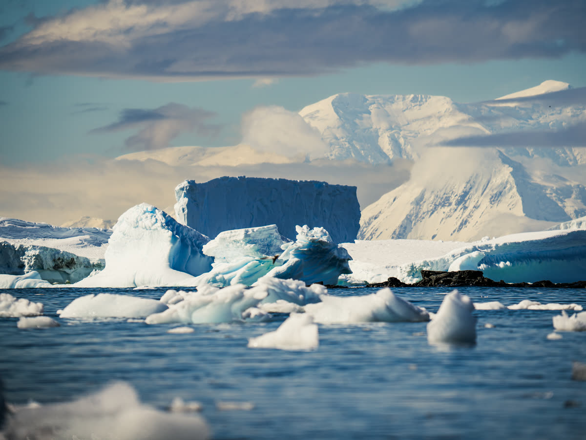 Jenseits des Südpolarkreises | MS SYLVIA EARLE