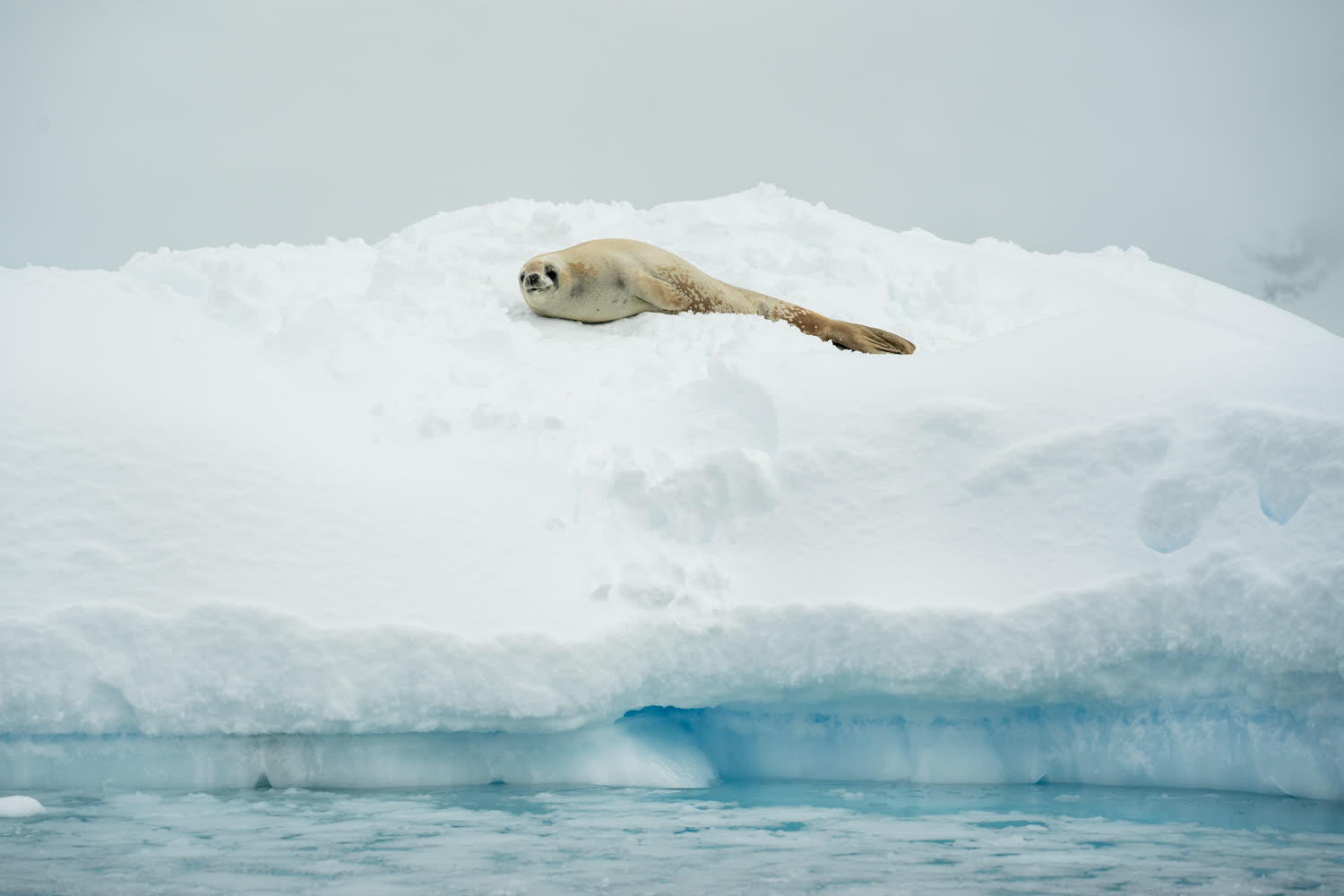 Reiseeindruck 6 — Foto: Aurora Expeditions