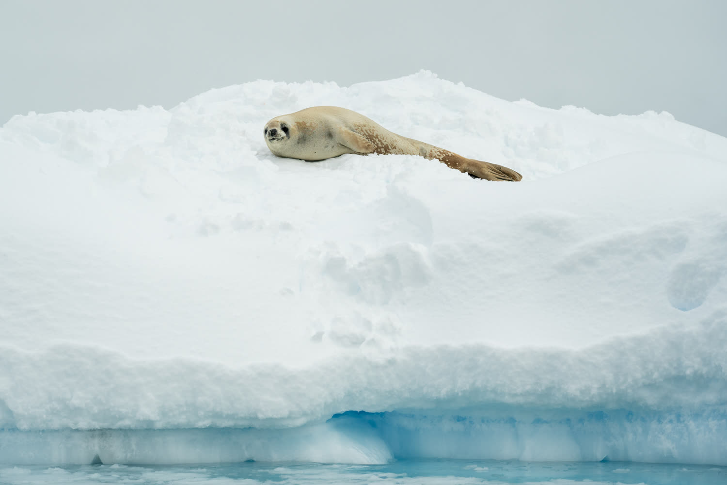 Reiseeindruck 8 — Foto: Aurora Expeditions