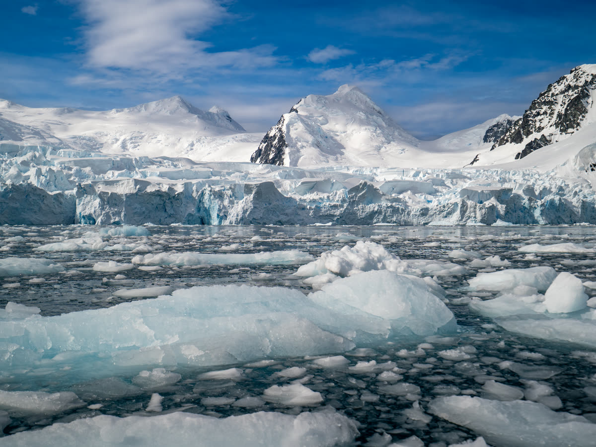 Antarktis-Expedition | MS SYLVIA EARLE