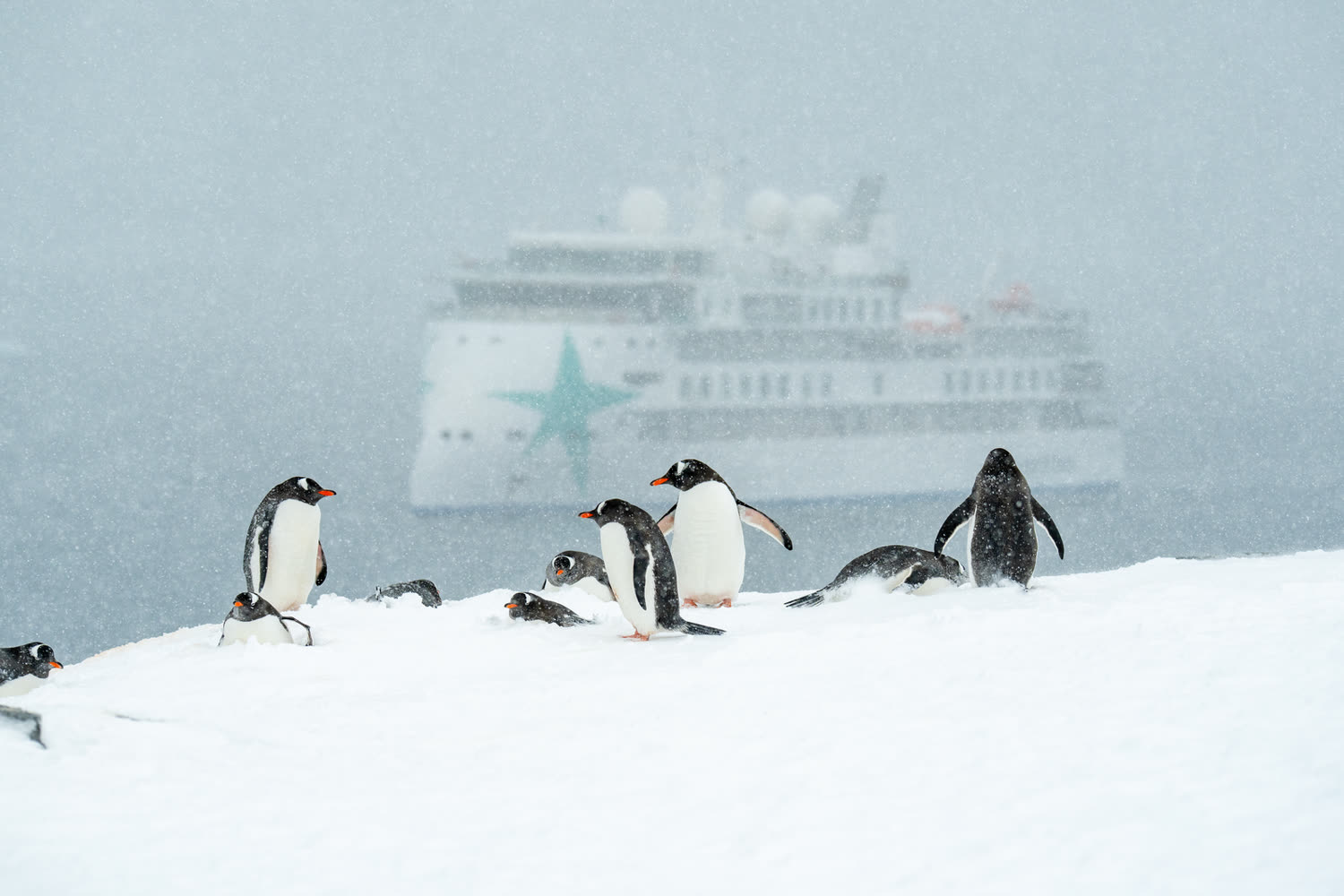 Reiseeindruck 6 — Foto: Aurora Expeditions