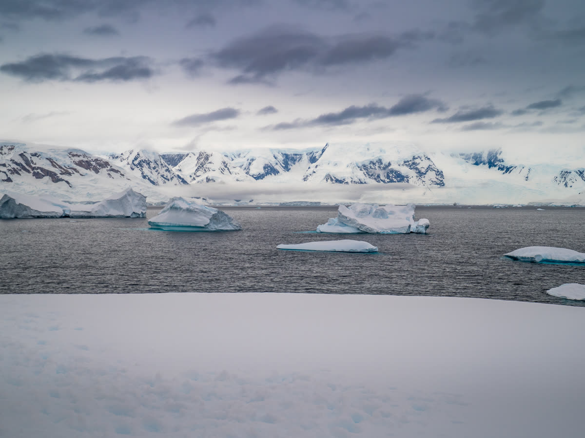 Weddellmeer-Expedition | MS SYLVIA EARLE