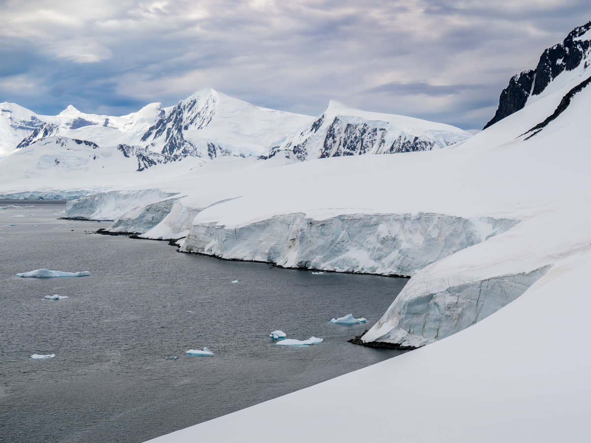 Antarktis-Expedition über die Drake-Passage | MS SYLVIA EARLE