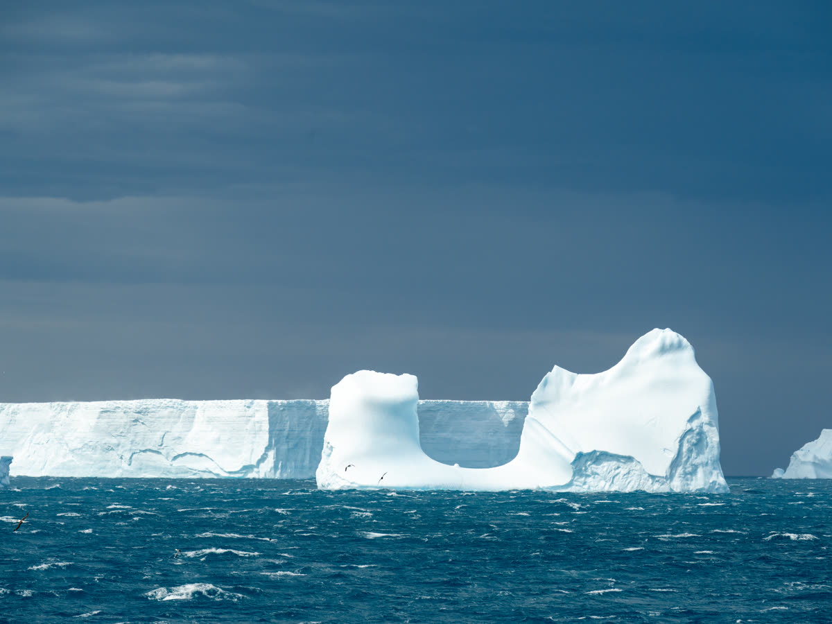 Antarktis-Expedition: Ross-Meer und Halbinsel | MS GREG MORTIMER