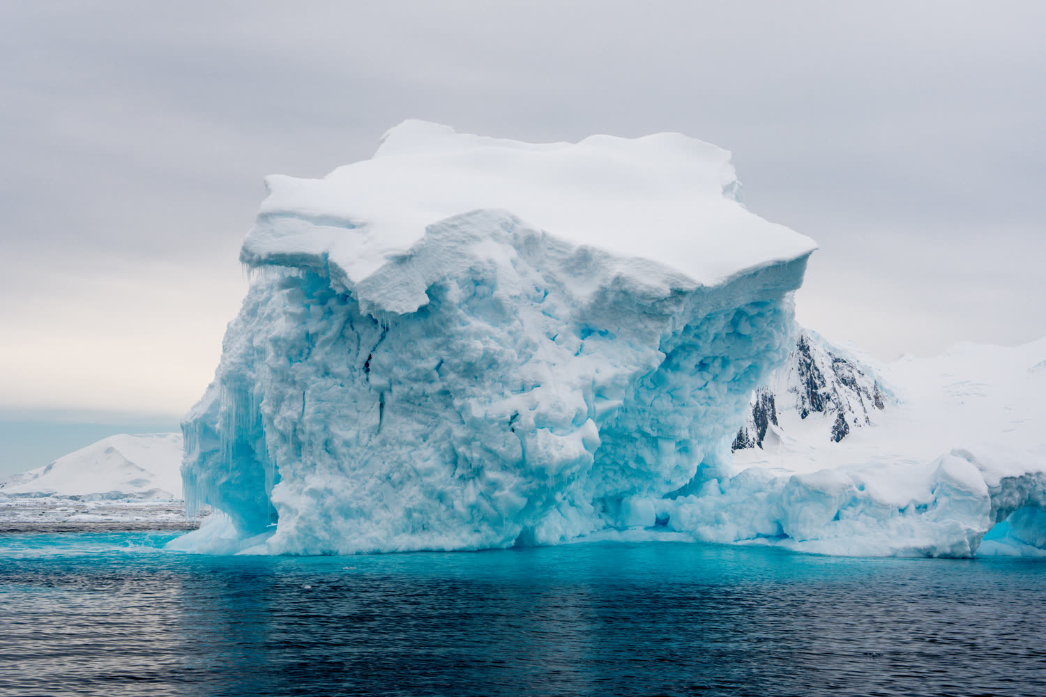 Yalour Islands — Adéliepinguin-Kolonie — Foto: G Adventures