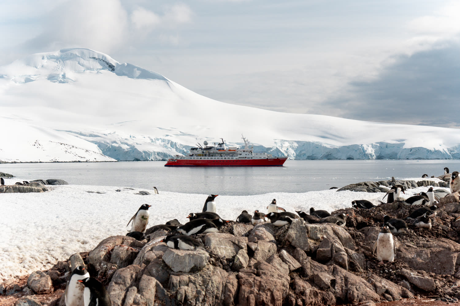 Gerlache Strait — antarktische Eislandschaft — Foto: G Adventures