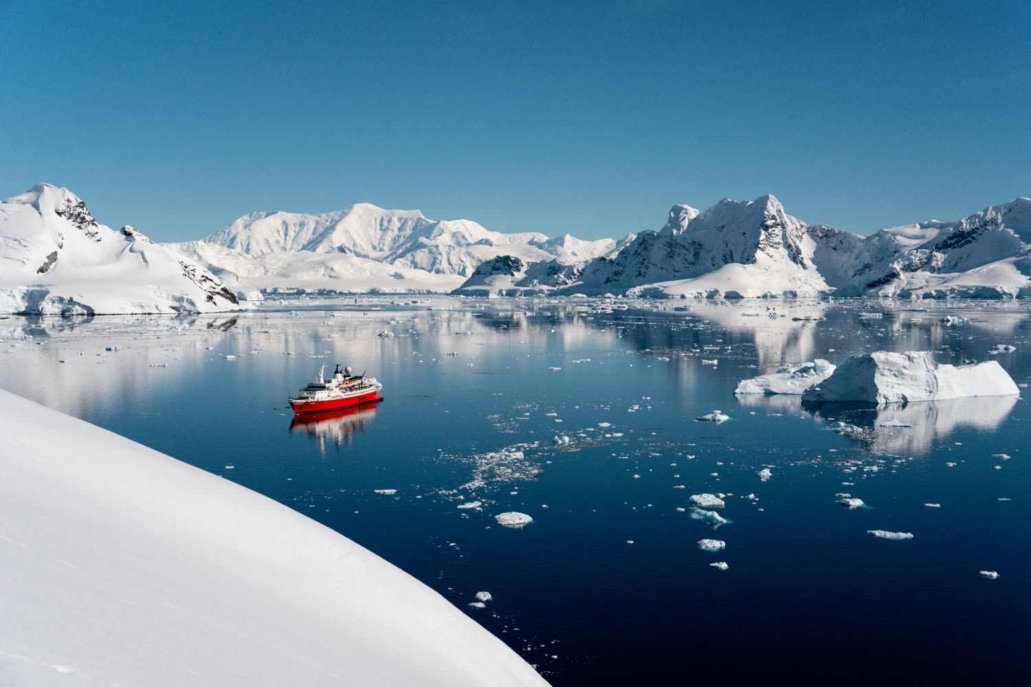 Neko Harbour — kalbender Gletscher und Eselspinguine — Foto: G Adventures