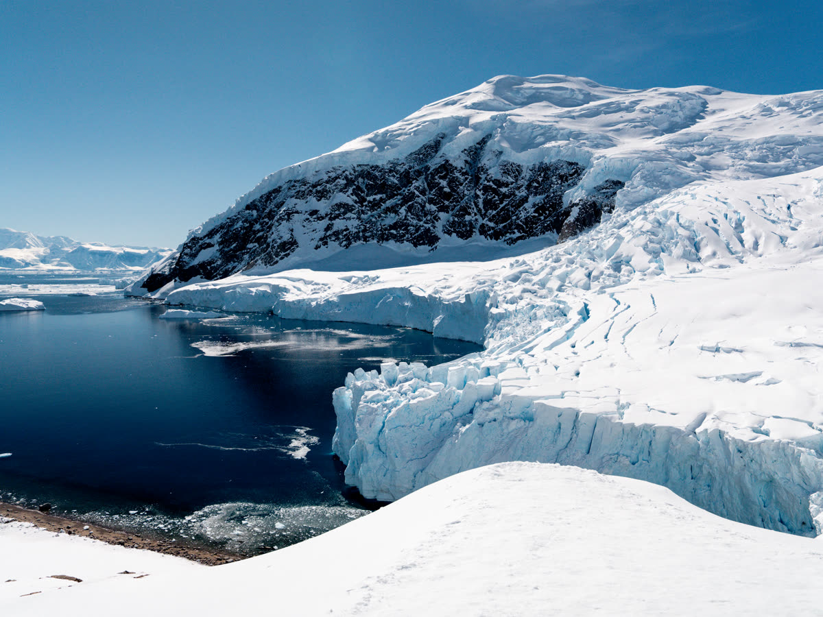 Antarktis-Klassik: Pinguine, Wale und Eiswelten | MS EXPEDITION