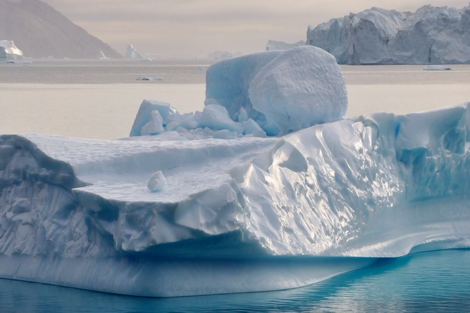 Spitzbergen-Wildnis — Foto: G Adventures