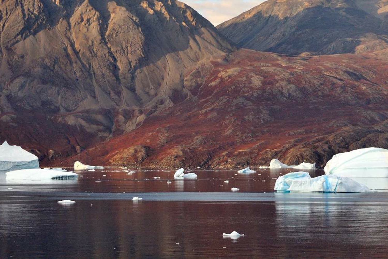 Eiswelt im Polarmeer — Foto: G Adventures