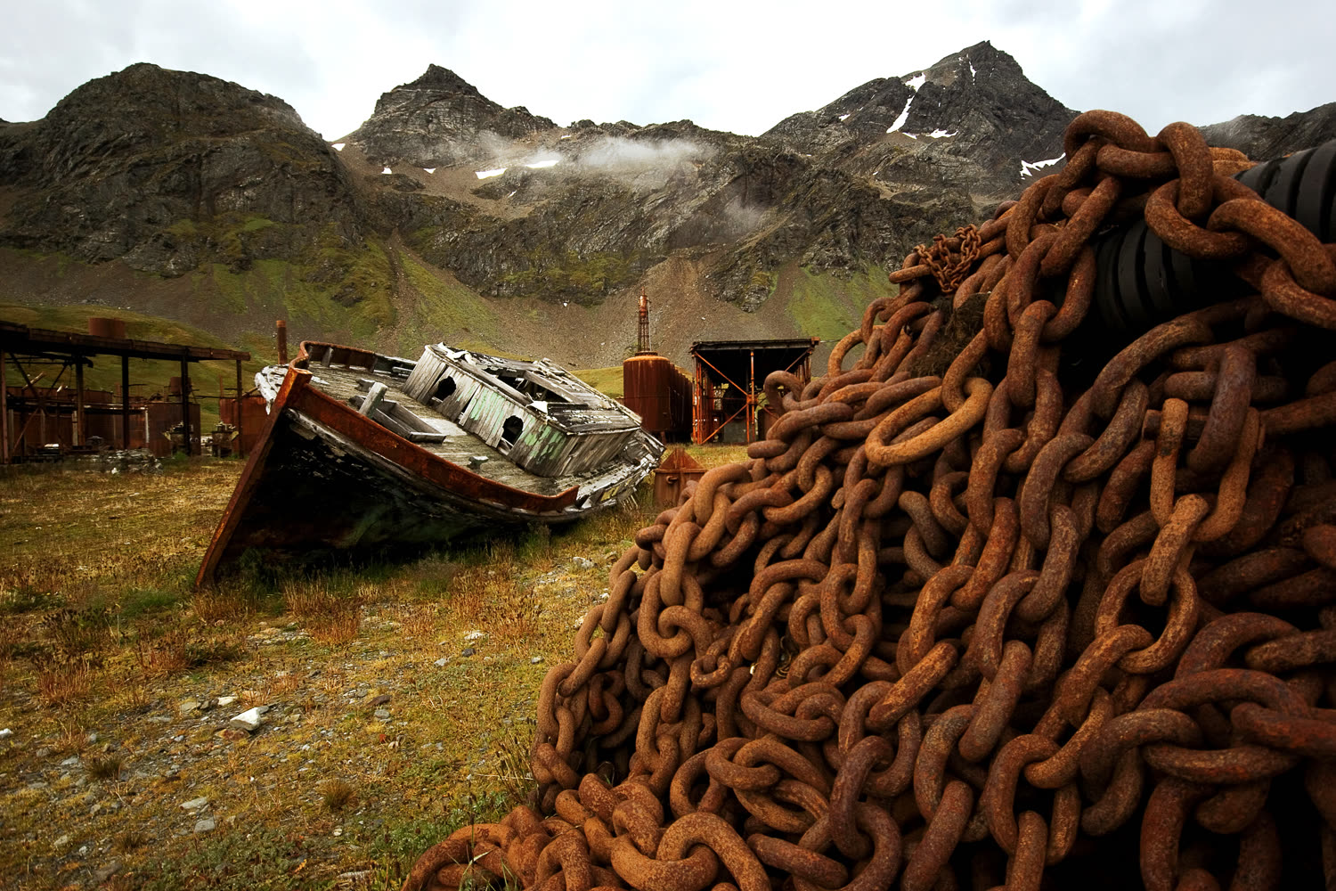 Südgeorgien — Küstenlandschaft und Tierwelt — Foto: G Adventures