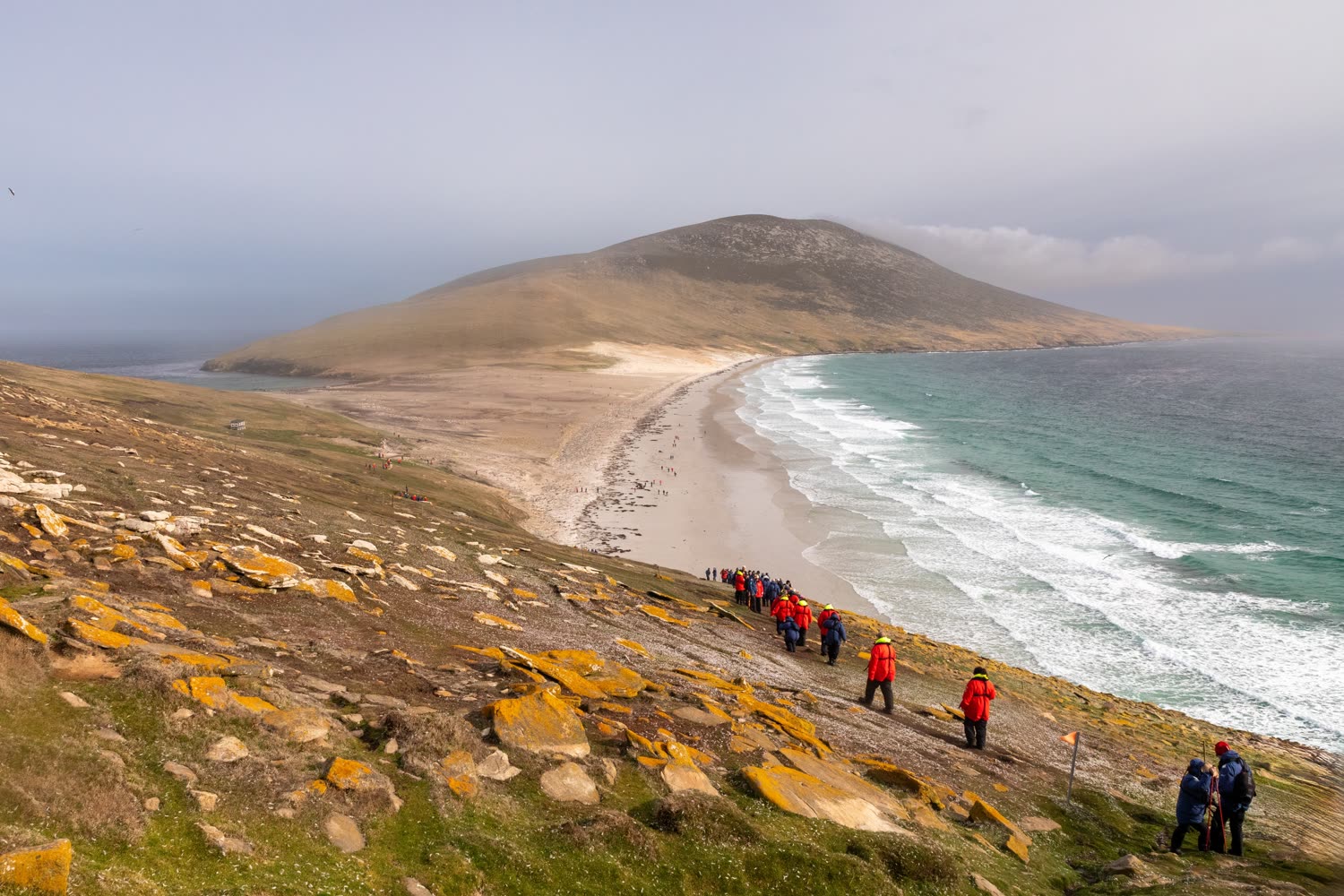 Falklandinseln — Pinguinkolonie an der Küste — Foto: G Adventures