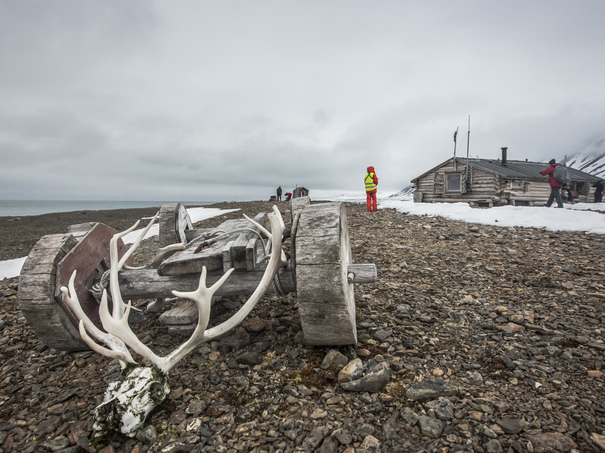 Spitzbergen-Expedition: Eisbären und Arktis | MS EXPEDITION