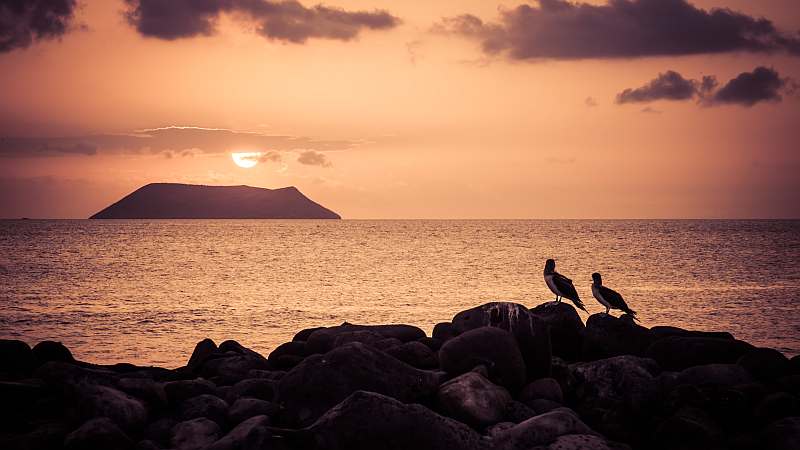 Galápagos-Atmosphäre — 