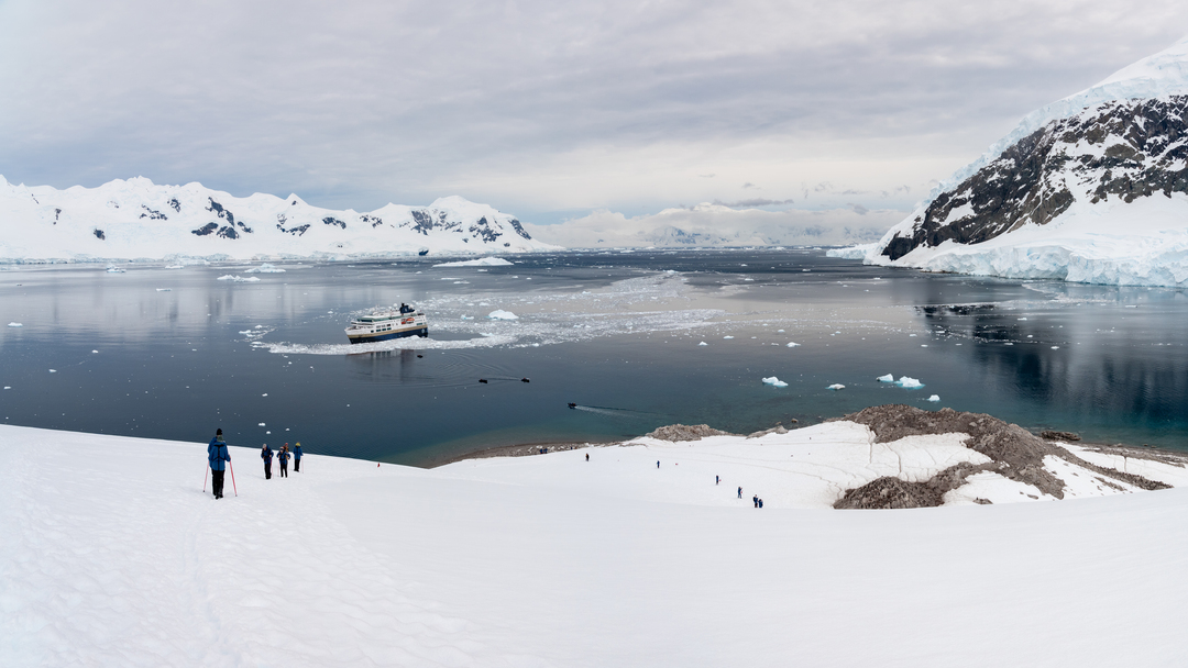 Antarctica Neko Harbour MS Fram HX 45355 Photo Yuri Choufour — Foto: HX
