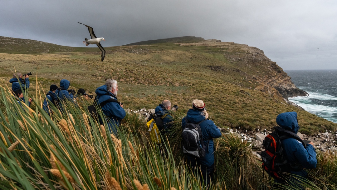 Falkland Islands West Point HX 45343 Photo Yuri Choufour (1) — Foto: HX