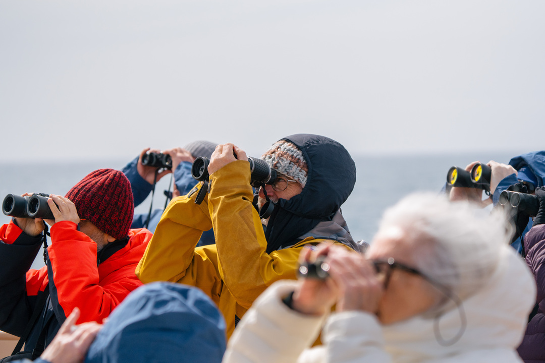Antarctica_Drake_Passage_HX_46076_Photo_Kay_Fochtmann — Foto: HX