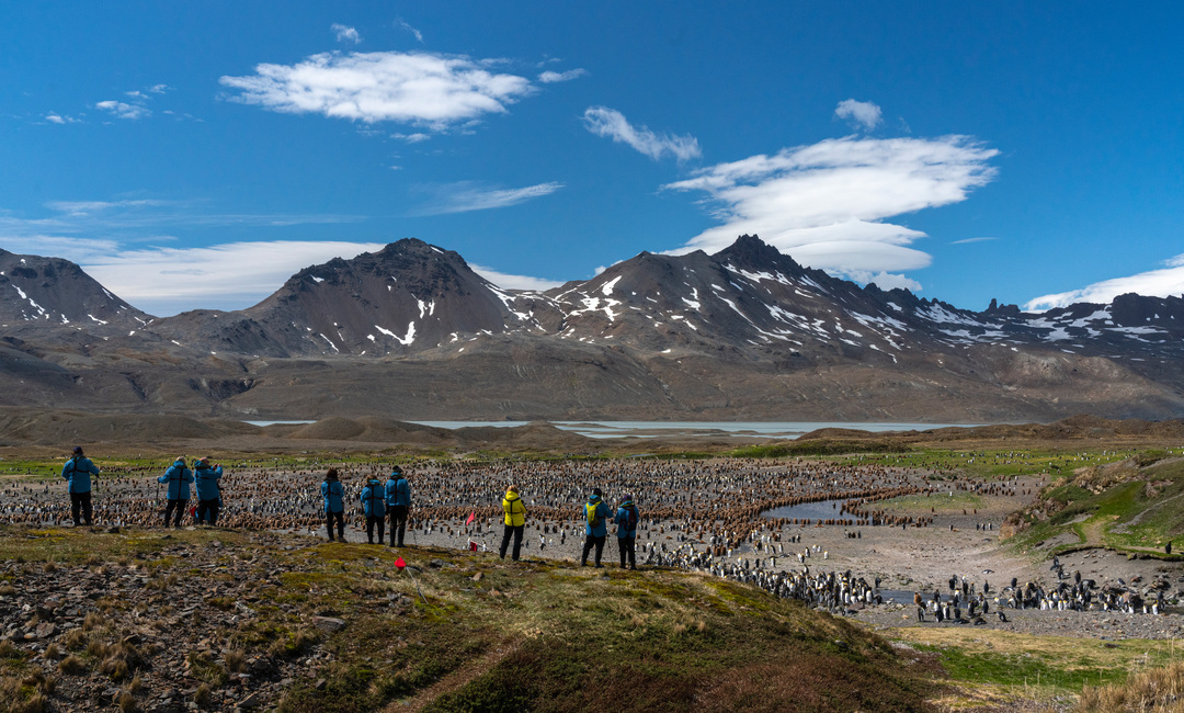 Fortuna_Bay_South_Georgia_HX_41778_Photo_Yuri_Choufour — Foto: HX