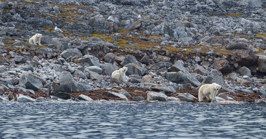 yuri-choufour-20220622_svalbard_ytrenorskoya_yurichoufour-09914_web — Foto: HX