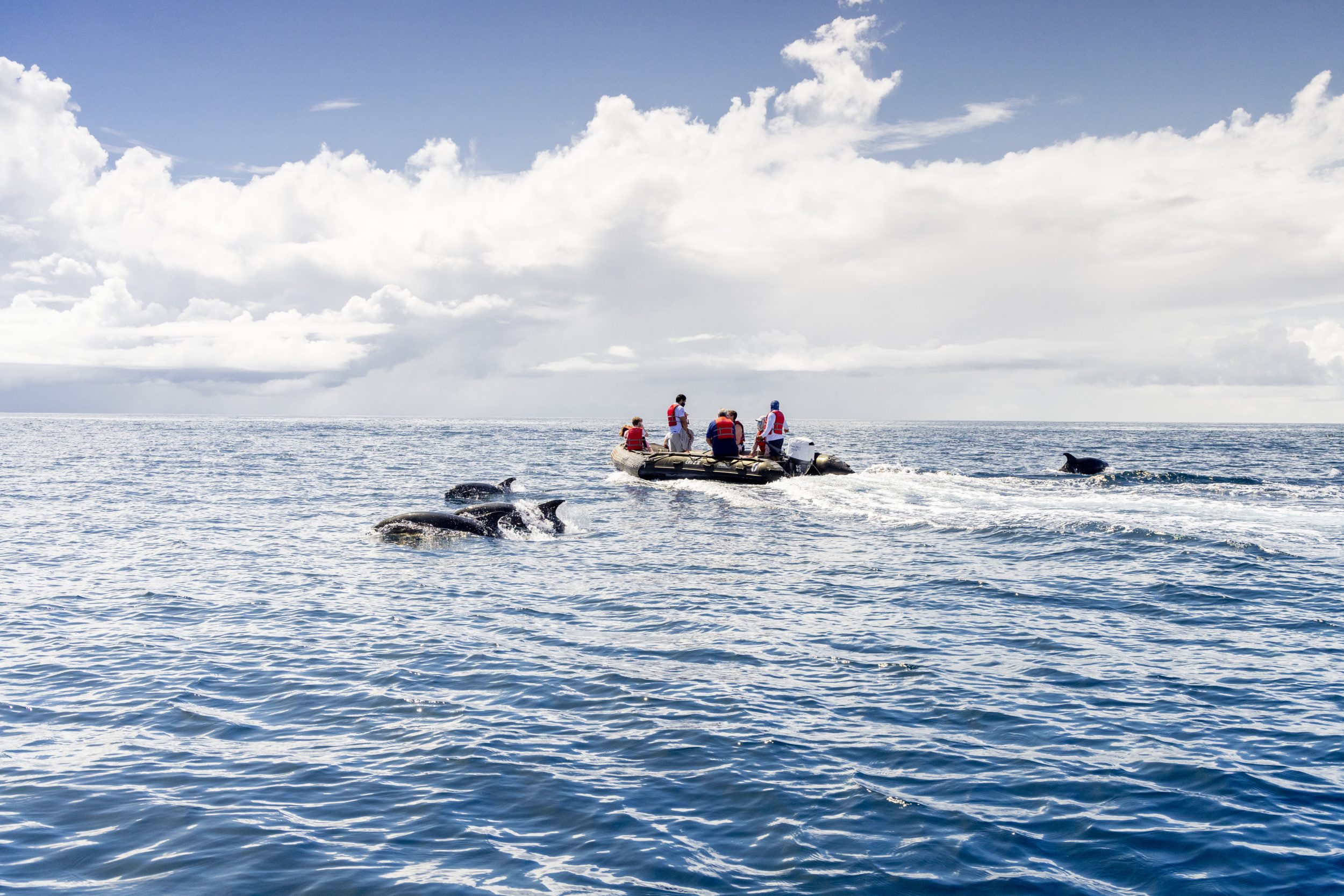 galapagos-ecuador-hgr-154111-photo_ashton_ray_hansen.jpg