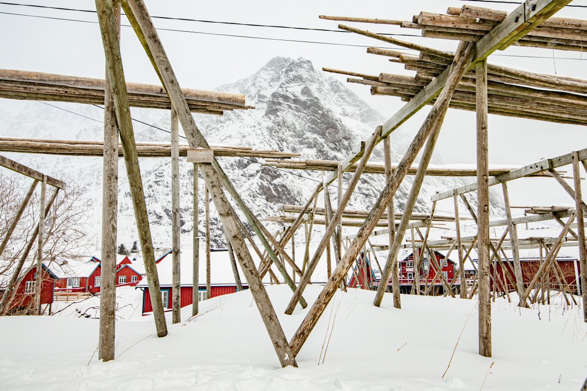 Å – am Ende der Lofoten · Foto: Ted Gatlin