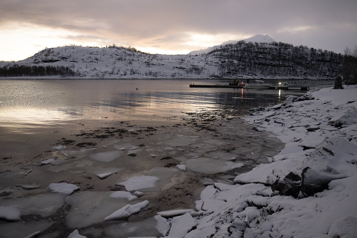 Årøya · Foto: Geraldine Prince