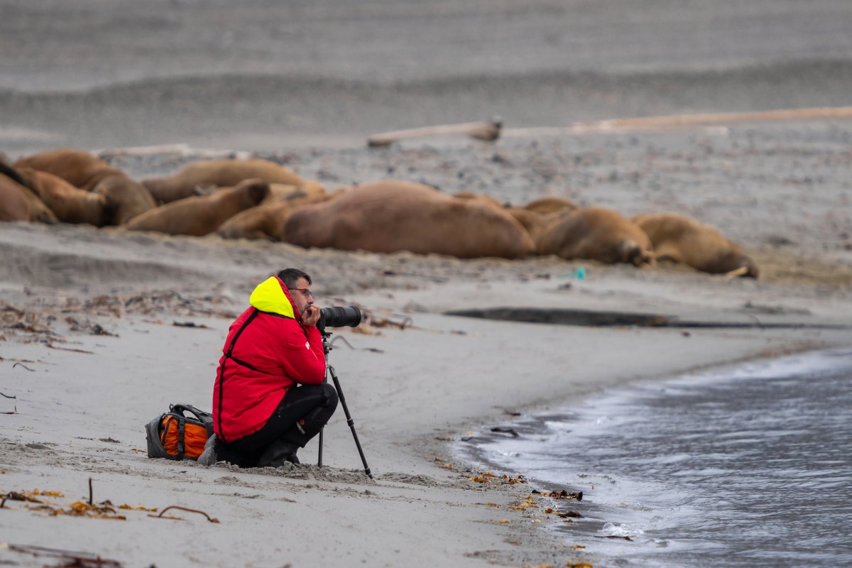 Phippsøya, Sjuøyane – der hohe Norden Spitzbergens · Foto: Jan Hvizdal