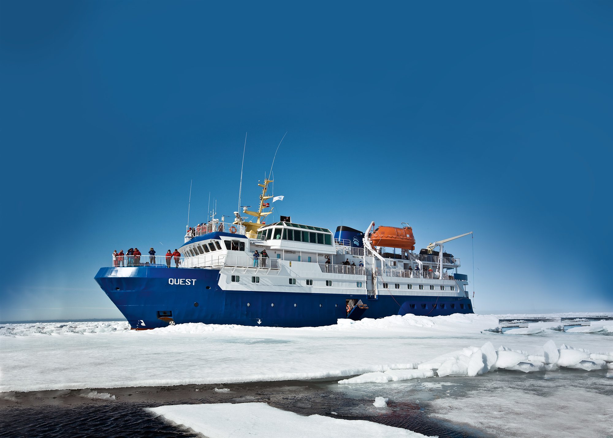 MS QUEST