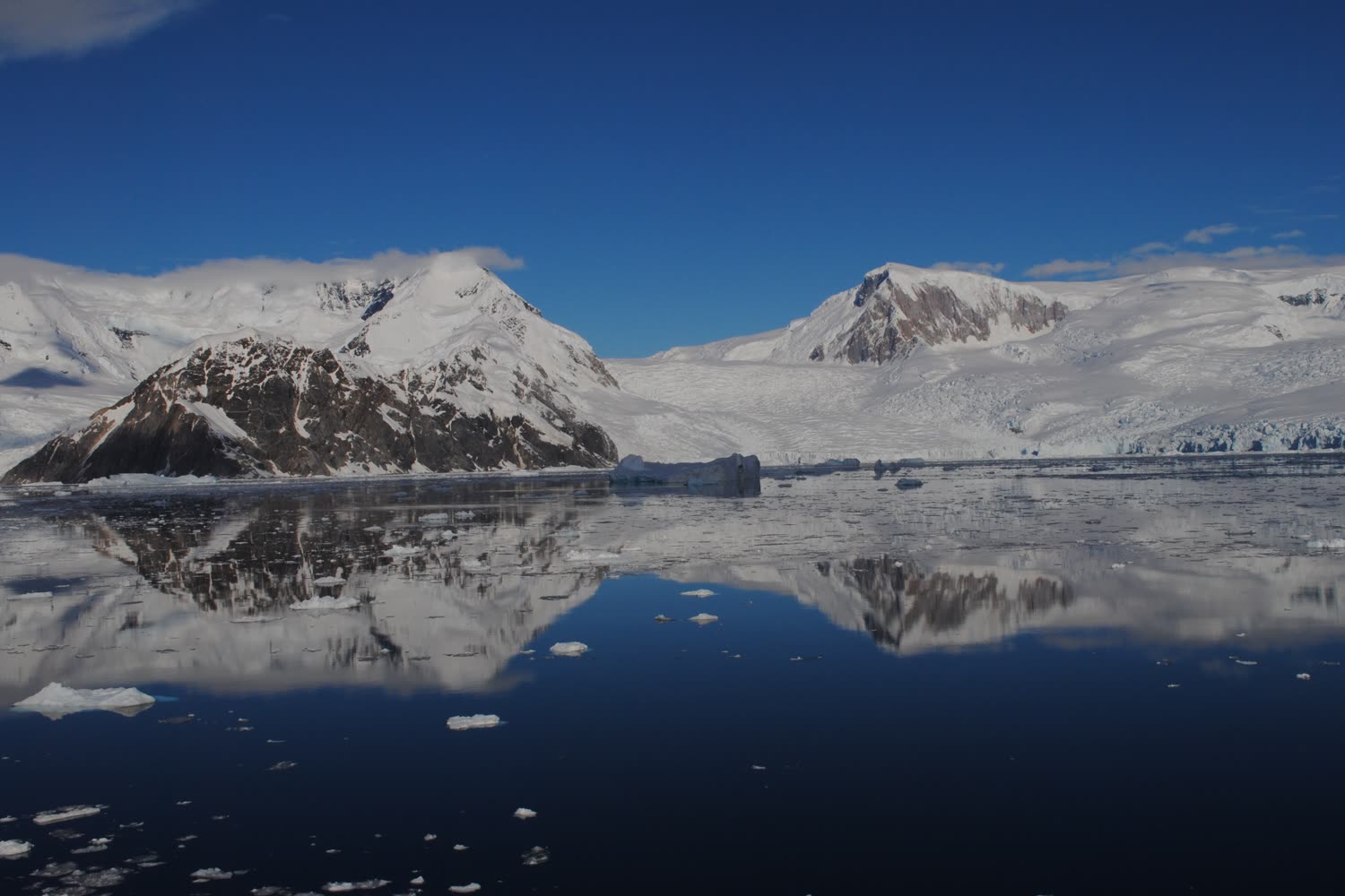 Neko Harbour — Foto: Oceanwide Expeditions
