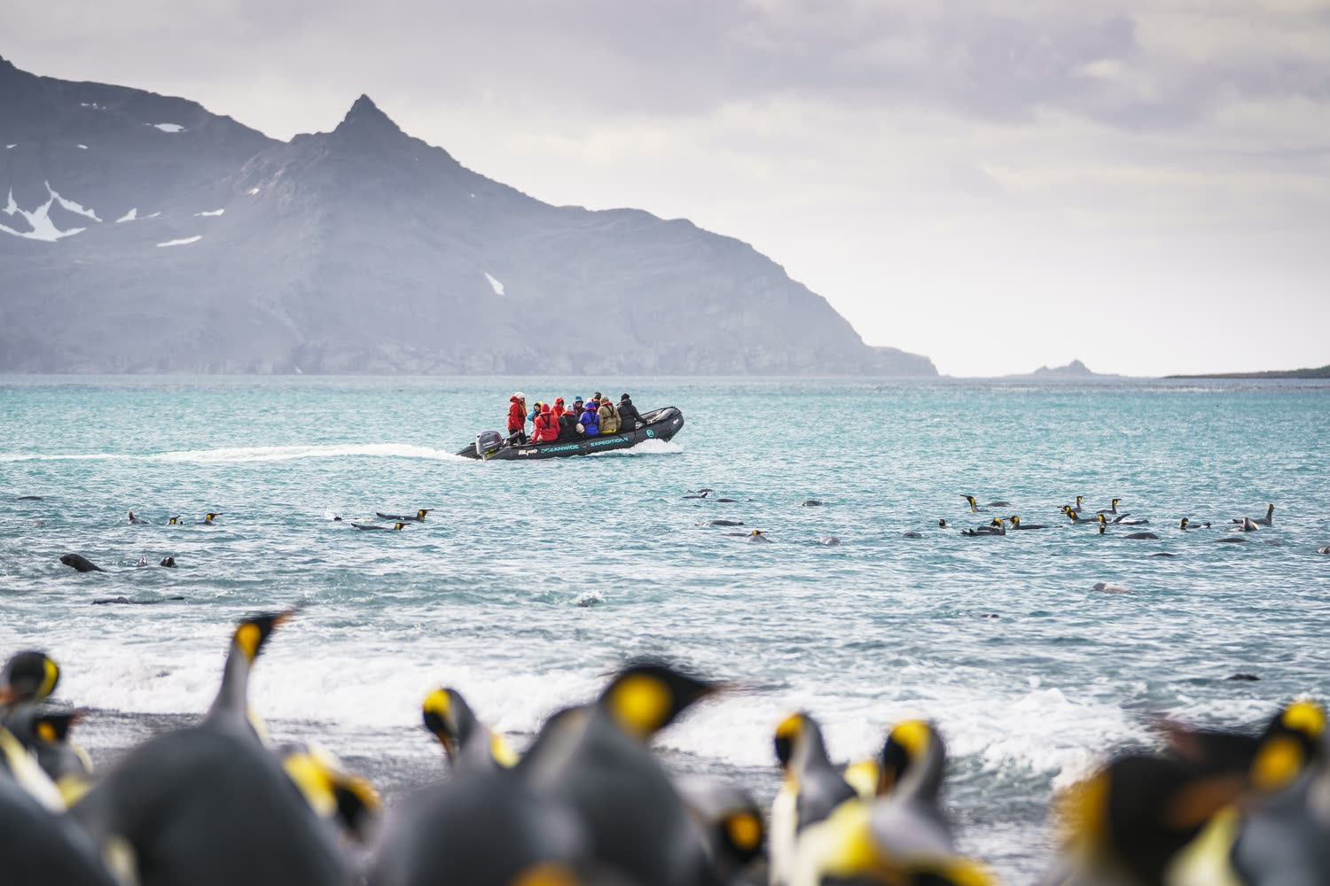Südgeorgien-Landschaft — Foto: Oceanwide Expeditions