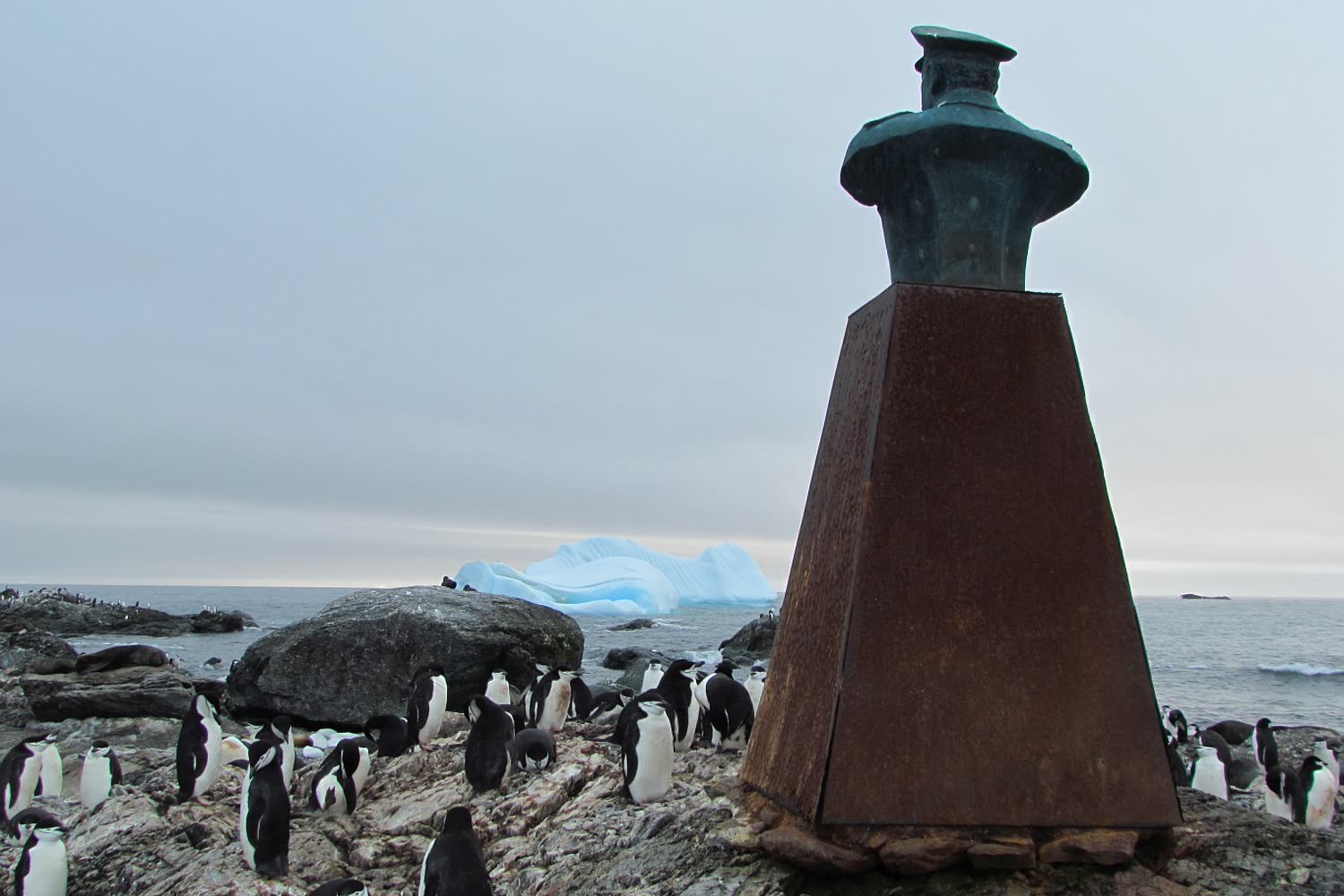 Point Wild, Elephant Island — Foto: Oceanwide Expeditions