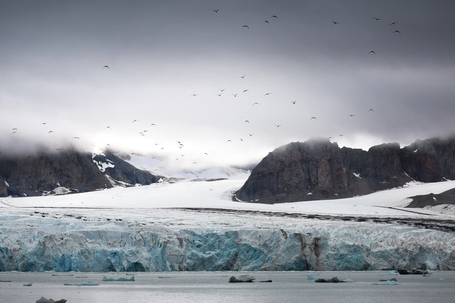 14. Juli-Gletscher, Kongsfjord — Foto: Oceanwide Expeditions