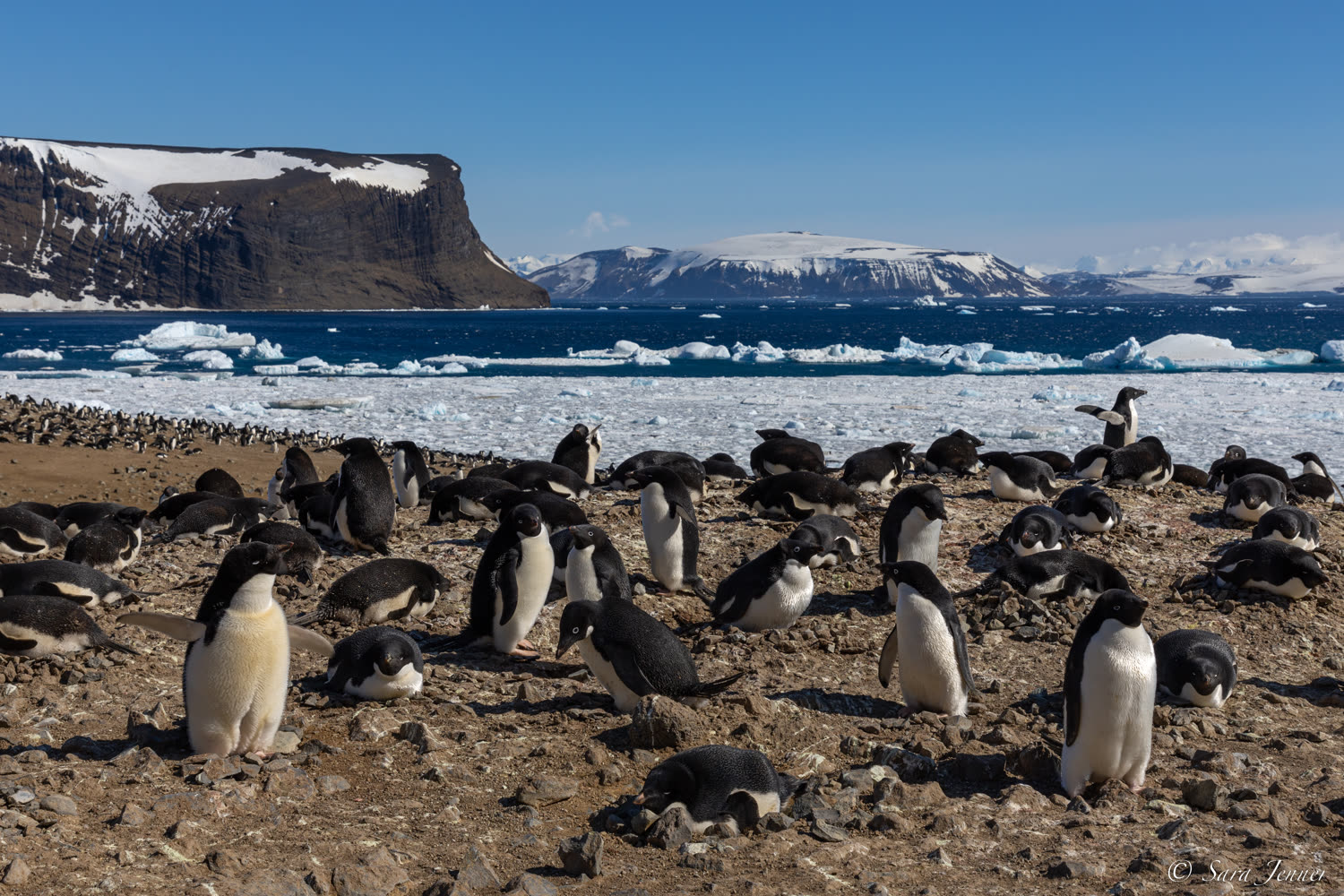 Devil Island — Foto: Oceanwide Expeditions
